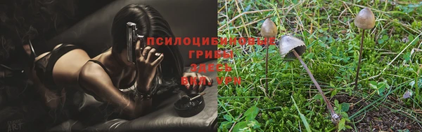 COCAINE Баксан