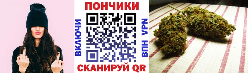 дарнет шоп  Шахты  Каннабис ГИДРОПОН 